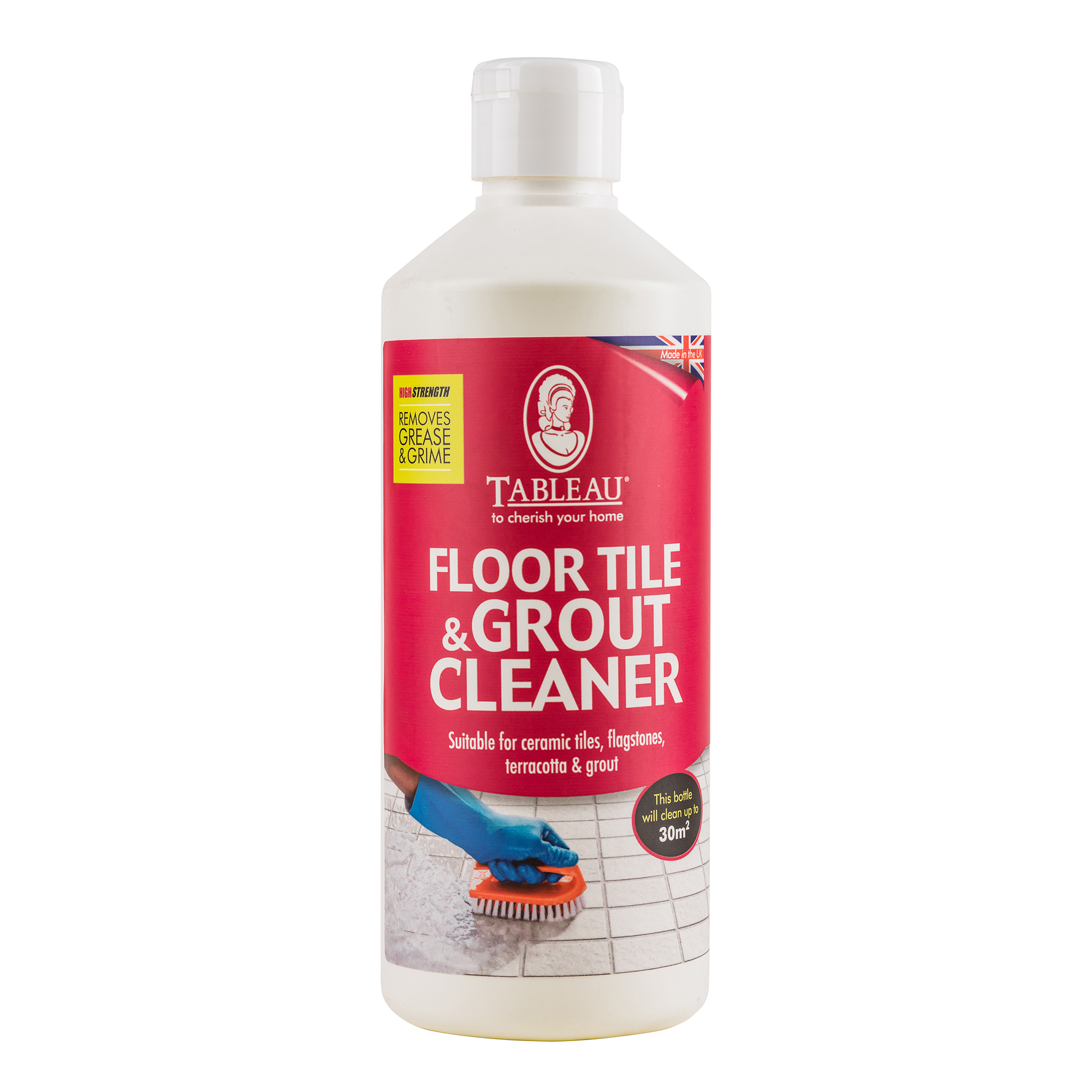 Floor Tile & Grout Cleaner