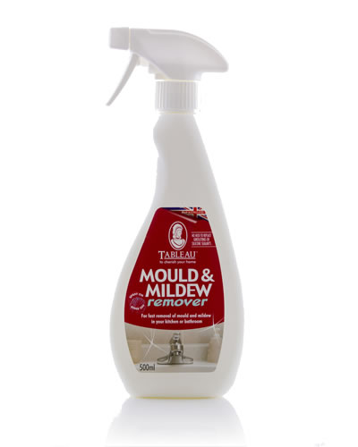 Mould And Mildew Remover