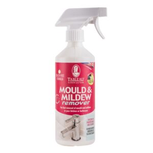 Mould and Mildew Remover 500ml