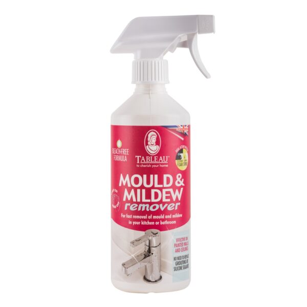 Mould and Mildew Remover 500ml